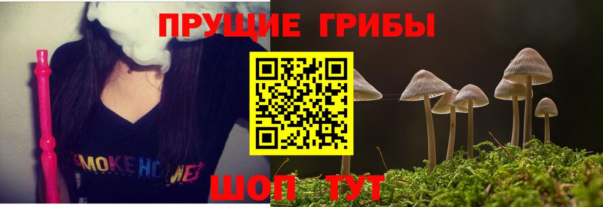 Псилоцибиновые грибы Psilocybine cubensis  купить   Котовск  Вход с VPN 